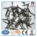 shoe tack nail /tack nails/tack nails